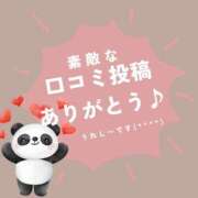 ヒメ日記 2025/05/29 09:03 投稿 ななせ 東京妻next (京都グループ)