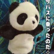 ヒメ日記 2025/06/26 09:56 投稿 ななせ 東京妻next (京都グループ)