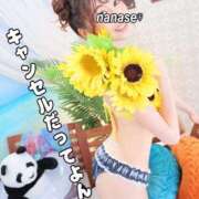 ヒメ日記 2025/06/27 13:22 投稿 ななせ 東京妻next (京都グループ)