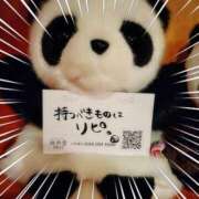 ヒメ日記 2025/06/28 06:16 投稿 ななせ 東京妻next (京都グループ)