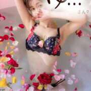 ヒメ日記 2025/07/06 09:46 投稿 ななせ 東京妻next (京都グループ)