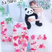 ヒメ日記 2025/07/07 05:06 投稿 ななせ 東京妻next (京都グループ)