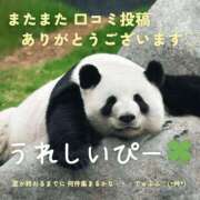 ヒメ日記 2025/07/14 09:06 投稿 ななせ 東京妻next (京都グループ)