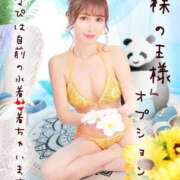 ヒメ日記 2025/07/16 15:31 投稿 ななせ 東京妻next (京都グループ)