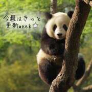 ヒメ日記 2025/07/22 07:32 投稿 ななせ 東京妻next (京都グループ)