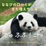 ヒメ日記 2025/07/22 08:36 投稿 ななせ 東京妻next (京都グループ)