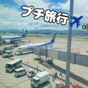 ヒメ日記 2025/07/29 08:11 投稿 ななせ 東京妻next (京都グループ)
