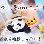 ヒメ日記 2025/07/29 09:38 投稿 ななせ 東京妻next (京都グループ)