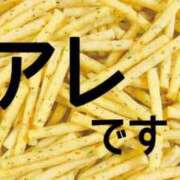 ヒメ日記 2025/07/29 10:01 投稿 ななせ 東京妻next (京都グループ)