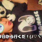 ヒメ日記 2025/07/30 07:06 投稿 ななせ 東京妻next (京都グループ)