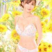 ヒメ日記 2025/08/08 10:36 投稿 ななせ 東京妻next (京都グループ)