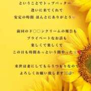 ヒメ日記 2025/08/19 19:16 投稿 ななせ 東京妻next (京都グループ)
