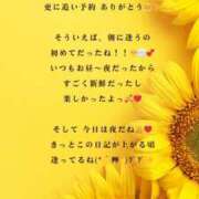 ヒメ日記 2025/08/19 20:06 投稿 ななせ 東京妻next (京都グループ)