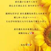 ヒメ日記 2025/08/19 21:08 投稿 ななせ 東京妻next (京都グループ)