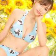 ヒメ日記 2025/08/28 10:06 投稿 ななせ 東京妻next (京都グループ)