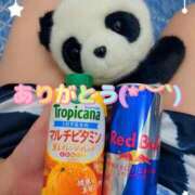 ヒメ日記 2025/08/29 09:56 投稿 ななせ 東京妻next (京都グループ)