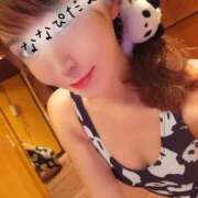 ヒメ日記 2025/09/16 21:16 投稿 ななせ 東京妻next (京都グループ)