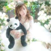 ヒメ日記 2025/10/01 10:36 投稿 ななせ 東京妻next (京都グループ)