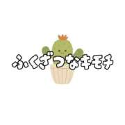 ヒメ日記 2025/10/03 07:26 投稿 ななせ 東京妻next (京都グループ)