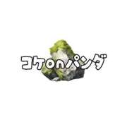 ヒメ日記 2025/10/08 09:56 投稿 ななせ 東京妻next (京都グループ)