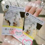 ヒメ日記 2025/10/20 16:06 投稿 ななせ 東京妻next (京都グループ)