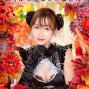 ヒメ日記 2025/11/01 12:18 投稿 ななせ 東京妻next (京都グループ)