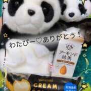 ヒメ日記 2026/02/11 20:56 投稿 ななせ 東京妻next