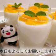 ヒメ日記 2026/04/18 05:56 投稿 ななせ 東京妻next