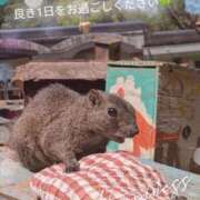 ヒメ日記 2026/05/06 08:56 投稿 ななせ 東京妻next