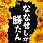 ヒメ日記 2026/07/06 01:46 投稿 ななせ 東京妻next
