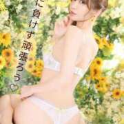 ヒメ日記 2026/07/12 07:16 投稿 ななせ 東京妻next