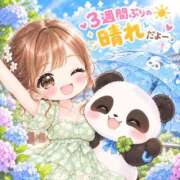 ヒメ日記 2026/09/14 10:16 投稿 ななせ 東京妻next