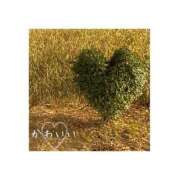 ヒメ日記 2025/04/08 17:47 投稿 ゆうこ 京都出張メンズエステChou Chou（シュシュ)