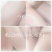 ヒメ日記 2025/05/03 18:13 投稿 ゆうこ 京都出張メンズエステChou Chou（シュシュ)