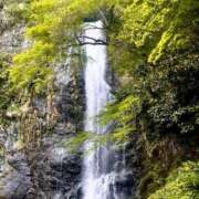 ヒメ日記 2025/05/09 18:10 投稿 ゆうこ 京都出張メンズエステChou Chou（シュシュ)