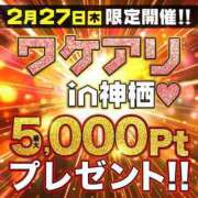 ヒメ日記 2025/02/26 22:45 投稿 みやび モアグループ神栖人妻花壇