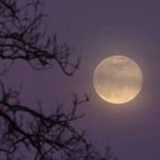 ヒメ日記 2025/03/05 17:30 投稿 みやび モアグループ神栖人妻花壇