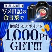 ヒメ日記 2025/03/12 17:31 投稿 みやび モアグループ神栖人妻花壇