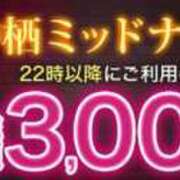 みやび 夜からお得！ モアグループ神栖人妻花壇