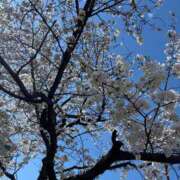 ヒメ日記 2025/04/04 14:18 投稿 真鍋　まどか 奥様宅配便　神栖支店