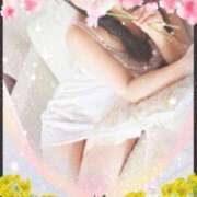 ヒメ日記 2025/03/29 17:55 投稿 ななこ ユートピア