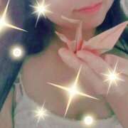 ヒメ日記 2025/07/31 22:25 投稿 ななこ ユートピア