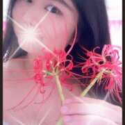 ヒメ日記 2025/09/21 19:25 投稿 ななこ ユートピア