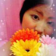 ヒメ日記 2026/04/15 19:08 投稿 ななこ ユートピア