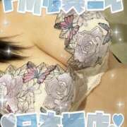 ヒメ日記 2025/04/03 09:40 投稿 オト ドMな奥さん 日本橋店