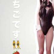 ヒメ日記 2025/08/01 05:47 投稿 いちご 川崎ソープ　クリスタル京都南町