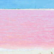 ヒメ日記 2025/03/23 22:30 投稿 高野智奈美 五十路マダム　和歌山店