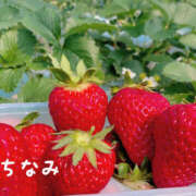 ヒメ日記 2025/03/28 21:42 投稿 高野智奈美 五十路マダム　和歌山店