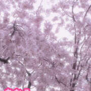 ヒメ日記 2025/03/31 11:04 投稿 高野智奈美 五十路マダム　和歌山店