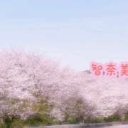 ヒメ日記 2025/04/05 18:48 投稿 高野智奈美 五十路マダム　和歌山店